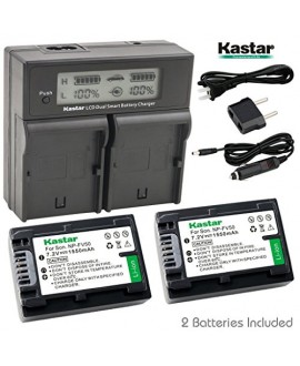Kastar LCD Dual Fast Charger + 2X Battery for Sony NP-FV50 NP-FV40 NP-FV30, AX53 CX675/B CX220 CX230 CX290 CX330 CX380 CX430V CX900 PJ200 PJ230 PJ340 PJ380 PJ430V PJ540 PJ650V PV790V PJ810 TD30V AX100