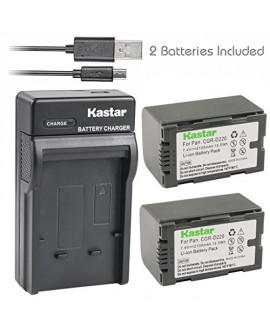 Kastar Battery (X2) & Slim USB Charger for Panasonic CGR-D16 D16S CGR-D08 D08S CGR-D14 CGR-D28 D28S, CGR-D120 CGR-D210 CGR-D220 CGR-D320 & AG Series AJ-PCS060G DZ-MX5000 NV Series PV Series VDR-M20