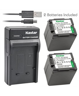 Kastar Battery (X2) & Slim USB Charger for Panasonic VW-VBG070, VW-VBG130, VWVBG260, VBG6 and SDR-H40, SDR-H80 Series, HDC-HS700, TM700, HS300, TM300, HS250, SD20, HS20, HDC-SDT750 Camcorders etc.