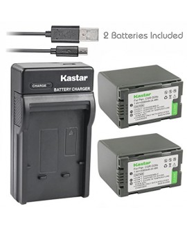 Kastar Battery (X2) & Slim USB Charger for Panasonic CGR-D28 D28S CGR-D08 D08S CGR-D14 CGR-D16 D16S, CGR-D120 CGR-D210 CGR-D220 CGR-D320 & AG Series AJ-PCS060G DZ-MX5000 NV Series PV Series VDR-M20