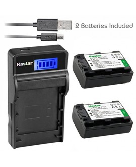 Kastar Battery (X2) & SLIM LCD Charger for Sony NP-FH50 NP-FH40 NP-FH30 NP-FP50 NP-FP51 and Sony A230 A290 A390 DSC-HX1 HX100 HX100V HX200 HX200V HDR-TG1E TG3 TG5 TG7 Camera