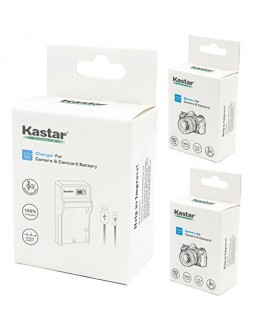 Kastar Battery (X2) & SLIM LCD Charger for Sony NP-FH50 NP-FH40 NP-FH30 NP-FP50 NP-FP51 and Sony A230 A290 A390 DSC-HX1 HX100 HX100V HX200 HX200V HDR-TG1E TG3 TG5 TG7 Camera