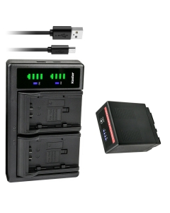 Kastar 1-Pack VW-VBG6 Pro Battery and LTD2 USB Charger Compatible with Panasonic VW-VBG6 VW-VBG6GK VW-VBG6-K VW-VBG6PPK, CGA-E625, VW-VBG6 Pro Battery, Panasonic DE-A38, VSK0631, VSK0698 Charger