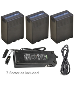 Kastar Battery 3 Pcs and Dual D-Tap Fast Charger for Sony BP-U90 BP-U95 BP-U96 BP-U60 BP-U65 BP-U66 BP-U68 BP-U30 BC-U1 BC-U2 Sony PMW-150P XDCAM EX HD422 PHU-60K PXW-Z450 PXW-Z190 PXW-Z280 Camcorder