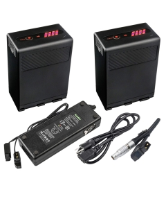 Kastar 2 Packs Battery and Dual D-Tap Charger for Canon BP-A60 BP-A65 BP-A90 BP-A30 US 0870C002 Battery, CG-A10 CG-A20 Charger and EOS C200, EOS C200B, EOS C220B, EOS C300 Mark II PL Cinema Camera