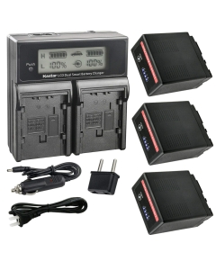 Kastar 3-Pack VW-VBG6 Pro Battery and LCD Dual Fast Charger Compatible with Panasonic HDC-TM300K, HDC-TM300P, HDC-TM300PC, HDC-TM350, HDC-TM650, HDC-TM700, HDC-TM700K, HDC-TM750, HDC-TMT750GK