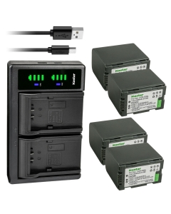 Kastar 4-Pack CGR-D28 Battery and LTD2 USB Charger Replacement for Panasonic PV-GS16, PV-BP8, PV-D401, PV-VM202, DZ-MX5000, VDR-M10, VDR-M20, AJ-PCS060G(Portable Hard Disk), AG-3DA1, AG-3DA1E