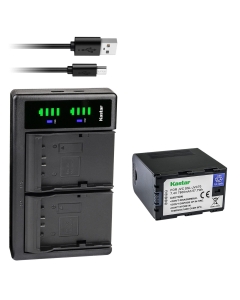 Kastar 1-Pack Battery and LTD2 USB Charger Replacement for JVC GY-HM600, GY-HM600E, GY-HM600EC, GY-HM620U, GY-HM650, GY-HM650U, GY-HM650SC, GY-HM660U, GY-HM660SC Cameras and DT-X Monitors