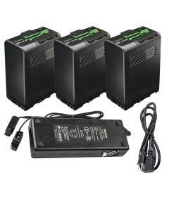 Kastar BP-U100 Battery 3 Pack and Dual D-Tap Charger for Sony PMW-300, PMW-300K1, PMW-EX1, PMW-EX1R, PMW-EX3, PMW-EX3R, PMW-EX160, PMW-EX260, PMW-EX280, PMW-F3, PMW-F3K, PMW-F3LL, XDCAM EX Camera