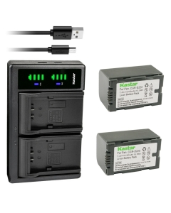 Kastar 2-Pack Battery and LTD2 USB Charger Compatible with Hitachi DZ-BP08 DZ-BP16 DZ-BP28 Battery Hitachi DZ-MV100 DZ-MV100E DZ-MV238 DZ-MV238E DZ-MV250 DZ-MV270 DZ-MV270E Camera