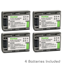 Kastar Battery (4-Pack) for Sony DVD HandyCam DCR-DVD105 DCR-DVD202E DCR-DVD203 DCR-DVD203E DCR-DVD205 DCR-DVD305 DCR-DVD403 DCR-DVD405 DCR-DVD408 DCR-DVD505 DCR-DVD910 DCR-DVD92