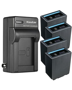 Kastar 4-Pack Battery and AC Wall Charger Replacement for Panasonic CGR-D54SE/1B, CGR-D54SE/1H, CGR-D54Pro, CGP-D54, CGP-D54S, VW-VBD29 VW-VBD55, CGA-D54, CGA-D54S, CGA-D54SE, CGA-D54SE/1B Battery