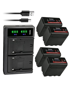 Kastar 4-Pack NP-F980EXP Battery and LTD2 USB Charger Compatible with Bosma G1 Pro 8K Camera (MFT)