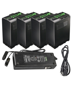 Kastar Battery 4 Pack and Dual D-Tap Charger for Sony BP-U30, BP-U35, BP-U60, BP-U60T, BP-U66, BP-U65, BP-U68, BP-U70, BP-U90, BP-U95, BP-U96, BP-U98, BP-U100 Battery, BC-U1, BC-U2, BC-CU1 Charger