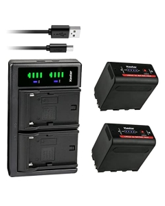 Kastar 2-Pack NP-F980EXP Battery and LTD2 USB Charger Compatible with Bosma G1 Pro 8K Camera (MFT)