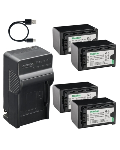 Kastar 4-Pack Battery and AC & USB-C Charger, Compatible with VW-VBD29 VW-VBD58 VW-VBD78 VW-VBD98 Camera, for Panasonic Camcorder AG-AC30 AG-HPX250 AJ-PX270 AJ-UX180 HC-X1 HC-X1000 Series