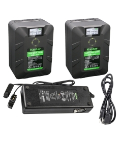 Kastar 2-Pack Battery and Dual D-Tap Charger Replacement for DSR-450WSP DSR-450WSPL DSR-50 DSR-50P (Portable Recorder) DSR-500WS DSR-500WSL DSR-500WSP DSR-500WSPL DSR-570WS DSR-570WSL Camera