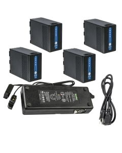 Kastar 4-Pack BP-A68 Battery and Dual D-Tap Fast Charger Compatible with Canon EOS C200, EOS C200B Cinema Camcorder, EOS C220B PL Mount UHD Digital Cinema Camera, EOS C300 Mark II PL Cinema EOS Camera
