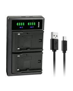 Kastar LTD2 USB Battery Charger Replacement for PV-DV Series PV-DV700, PV-DV700D PV-DV710, PV-DV710D PV-DV950 PV-DV1000