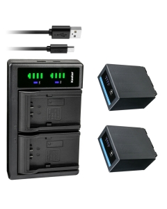 Kastar 2-Pack CGR-D54Pro Battery and LTD2 USB Charger Compatible with Panasonic CGA-D54 CGA-D54S CGA-D54SE CGA-D54SE/1B CGA-D54SE/1H CGA-D54Pro CGR-D54 CGR-D54S CGR-D54SE CGP-D54 CGP-D54S Battery