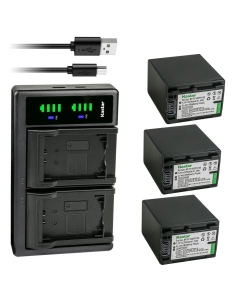 Kastar 3-Pack Battery NP-FV100 and LTD2 USB Charger Compatible with Sony HDR-PJ510 HDR-PJ540 HDR-PJ580HDR-PJ650 HDR-PJ670 HDR-PJ710 HDR-PJ740 HDR-PJ760 HDR-PJ780 HDR-PJ790 HDR-PJ810 HDR-PJ820 Camera