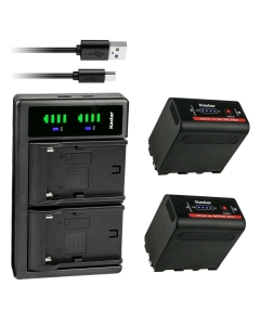 Kastar 2-Pack NP-F980EXP Battery and LTD2 USB Charger Compatible with CCD-TR845 CCD-TR87 CCD-TR8E CCD-TR910 CCD-TR913 CCD-TR917 CCD-TR918 CCD-TR930 CCD-TR940 CCD-TR950 CCD-TR97 Camera