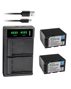 Kastar 2-Pack Battery and LTD2 USB Charger Compatible with JVC GY-HC500 GY-HC500E, GY-HC500U GY-HC500UN, GY-HC500SPC GY-HC500SPCN, GY-HC550 GY-HC550E GY-HC550UN Connected Cam 4K Handheld Camcorder
