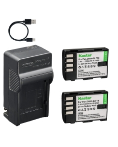 Kastar 2-Pack Battery and AC & USB-C Charger, Compatible with Panasonic DMW-BLF19 DMW-BLF19E DMW-BLF19PP GH3 GH3A GH3GK GH3H GH4 GH4A GH4H GH5 GH5S G9, Sigma SD Quattro SD Quattro H BP-61 PG-41 Grip