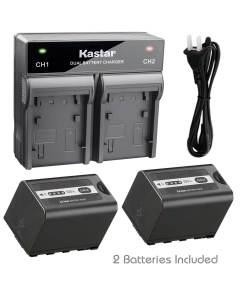 Kastar 2X Battery + Fast Dual Charger for Panasonic VW-VBD58 VW-VBD29 and AJ-PX270 AJ-PX270PJ AJ-PX298 (PX298MC) AJ-UX180 AJ-UX90 HC-MDH2 (MDH2GK, MDH2M) HC-X1000 HC-X1 HDC-Z10000 (Z10000GK, Z10000P)