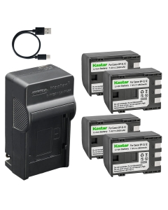 Kastar 4-Pack Battery and AC & USB-C Charger, Compatible with Canon NB-2L NB-2L12 BP-2L5 BP-2L12, for VIXIA HV20 HV30 HV40 HF R10 R100 Elura Optura ZR MD Camcorders
