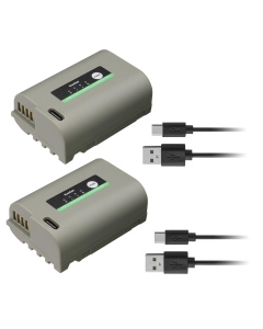 Kastar 2-Pack DMW-BLK22D Battery Replacement for Panasonic DMW-BLK22, Compatible with S5, S5 II, S5 IIX, GH5 II, GH6, G9 II Mirrorless Cameras