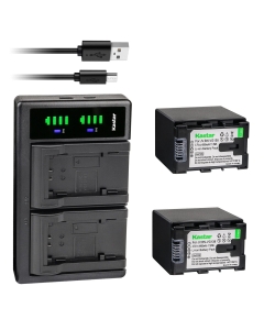 Kastar 2-Pack Battery + LTD2 Dual USB Charger Compatible with JVC AA-VG1U AA-VG1US AA-VG1EUM AA-VG1USM GZ-E10 GZ-E100 GZ-E180 GZ-E200 GZ-E200AU GZ-E200BU GZ-E200RU GZ-E205 GZ-E220 GZ-E225 GZ-E245