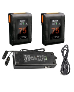 Kastar 2-Pack BP-Z75W Battery and Dual D-Tap Charger Compatible with Vaxis Storm 058 Pro 5.5" Wireless Touchscreen Monitor, SWIT 17.3" 4K/8K 12G-SDI Studio Monitor, 23.8" 4K/8K 12G-SDI Studio Monitor