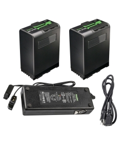 Kastar BP-A100 Battery 2 Pack and Dual D-Tap Charger for Canon BP-A30 BP-A60 BP-A65 BP-A68 BP-A90 BP-A100 US 0870C002 Battery, CG-A10 CG-A20 Charger, Canon EOS C200, EOS C200B Cinema Camera