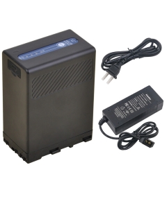 Kastar Battery 1 Pcs and D-Tap Rapid Charger for Sony BP-U90 BP-U95 BP-U96 BP-U60 BP-U65 BP-U66 BP-U68 BP-U30 BC-U1 BC-U2 Sony PMW-150P XDCAM EX HD422 PHU-60K PXW-Z450 PXW-Z190 PXW-Z280 Camcorder