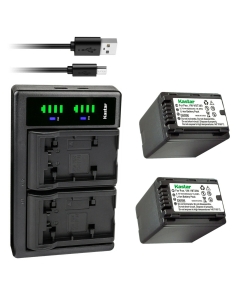 Kastar 2-Pack VW-VBT380 Battery and LTD2 USB Charger Compatible with Panasonic VW-VBT380 VW-ACT380 VW-VBT190 VW-ACT190 Battery, Panasonic VW-PWPK VW-BC10 VW-BC10-K VW-BC10PP Charger