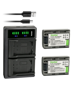 Kastar 2-Pack Battery and LTD2 USB Charger Replacement for Sony DCR-SR50, DCR-SR60, DCR-SR70, DCR-SR80, DCR-SR90, DCR-SR100, HDR-HC3, HDR-HC3E, DCR-DVD103, DCR-DVD105, DCR-DVD202, DCR-DVD203