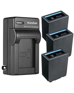 Kastar 3-Pack Battery and AC Wall Charger Replacement for Panasonic CGR-D54SE/1B, CGR-D54SE/1H, CGR-D54Pro, CGP-D54, CGP-D54S, VW-VBD29 VW-VBD55, CGA-D54, CGA-D54S, CGA-D54SE, CGA-D54SE/1B Battery
