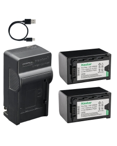 Kastar 2-Pack Battery and AC & USB-C Charger, Compatible with VW-VBD29 VW-VBD58 VW-VBD78 VW-VBD98 Camera, for Panasonic Camcorder AG-AC30 AG-HPX250 AJ-PX270 AJ-UX180 HC-X1 HC-X1000 Series