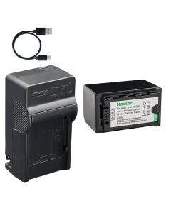 Kastar 1-Pack Battery and AC & USB-C Charger, Compatible with VW-VBD29 VW-VBD58 VW-VBD78 VW-VBD98 Camera, for Panasonic Camcorder AG-AC30 AG-HPX250 AJ-PX270 AJ-UX180 HC-X1 HC-X1000 Series