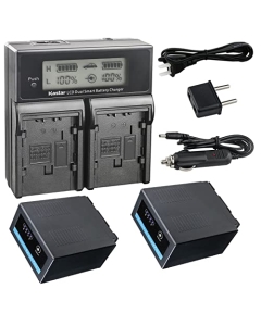 Kastar 2-Pack CGR-D54 Pro Battery and CH04 Fast Charger Compatible with Panasonic AJ-PX270 AJ-PX270PJ HDC-Z10000 HDC-Z10000GK HDC-Z10000P HDC-Z10000E AG-3DA1 AG-3DA1E AG-3DA1P AG-AC8 AG-AC8EJ Camera
