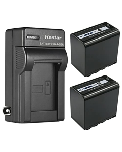 Kastar 2-Pack Battery and AC Wall Charger Replacement for Panasonic AG-VBR59 AG-VBR59G, AG-VBR89 AG-VBR89G, AG-VBR118 AG-VBR118G, VW-VBD29, VW-VBD58 VW-VBD58E-K VW-VBD58PPK, VW-VBD78, VW-VBD98 Battery