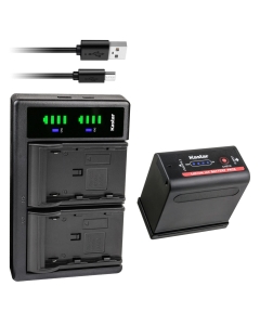 Kastar 1-Pack Battery and LTD2 USB Charger Replacement for Canon G1000, G1500, G2000, GL1 GL-1 DM-GL1, GL2 GL-2 DM-GL2, MV1, MV10 MV10i, MV20 MV20i, MV100 MV100i, MV200 MV200i, Optura, Optura Pi