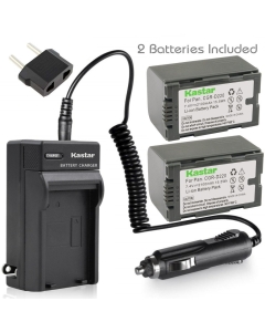 Kastar Battery (X2) & AC Travel Charger for Panasonic CGR-D16 D16S CGR-D08 D08S CGR-D14 CGR-D28 D28S, CGR-D120 CGR-D210 CGR-D220 CGR-D320 & AG Series AJ-PCS060G DZ-MX5000 NV Series PV Series VDR-M20
