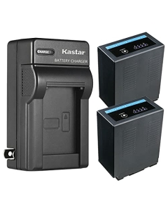 Kastar 2-Pack Battery and AC Wall Charger Replacement for Panasonic CGR-D54SE/1B, CGR-D54SE/1H, CGR-D54Pro, CGP-D54, CGP-D54S, VW-VBD29 VW-VBD55, CGA-D54, CGA-D54S, CGA-D54SE, CGA-D54SE/1B Battery