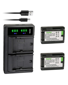 Kastar 2-Pack Battery and LTD2 USB Charger Compatible with Panasonic VW-VBY100 Battery, Panasonic HC-V110 HC-V110G HC-V110GK HC-V110K HC-V110P HC-V110P-K HC-V130 HC-V130K HC-V201 HC-V201K Cameras