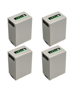 Kastar 4-Pack NP-FV100D Battery Replacement for Sony HDR-PJ50 HDR-PJ510 HDR-PJ540 HDR-PJ580HDR-PJ650 HDR-PJ670 HDR-PJ710 HDR-PJ740 HDR-PJ760 HDR-PJ780 HDR-PJ790 HDR-PJ810 HDR-PJ820 Camcorder