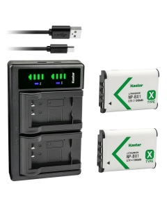 Kastar 2-Pack NP-BX1 Battery and LTD2 USB Charger Replacement for Sony Cyber-Shot DSC-WX500, FDR-X1000V, FDR-X3000, HDR-AS10, HDR-AS100V, HDR-AS15, HDR-AS20, HDR-AS200V, HDR-AS30 Digital Camera