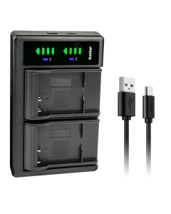 Kastar LTD2 USB Battery Charger Replacement for Rich HD Series HD-Q3, HD-Q5, HD-Q6, HD-Q8, HD-Q9, HDV-CP319, HDV-CP350, M-HD01, Rollei HD-MI8K, HD-X1200, SD-X1200, SD-X1800, W0005, W-0005