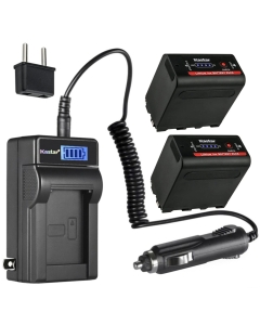 Kastar 2-Pack NP-F980EXP Battery and LCD AC Charger Compatible with DCR-TRV310 DCR-TRV315 DCR-TRV320 DCR-TRV410 DCR-TRV420 DCR-TRV49 DCR-TRV5 DCR-TRV510 DCR-TRV520 DCR-TRV525 DCR-TRV58 DCR-TRV620